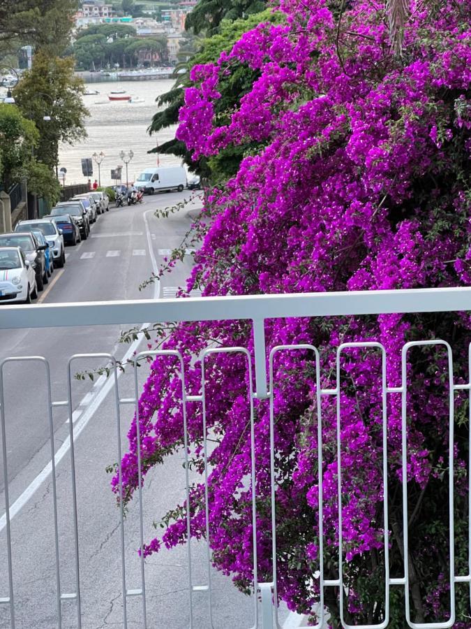 Welcome Riviera -Torre D'Avorio Appartamento 126 Mq Piu'Terrazzo25 Mq - Totalmente Rinnovato- 250 M Dal Centro - Parcheggio A Pagamento 15 Euro Al Giorno Da Prenotare In Anticipo Salvo Dispo -Parking At 15 Euro Per Day To Be Booked In Advance If Avai Ραπάλο Εξωτερικό φωτογραφία